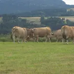 キャンプ場 La Roulotte Des Bords De L'ance *