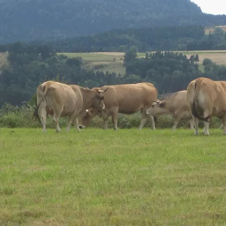 Kemping La Roulotte Des Bords De L'ance *