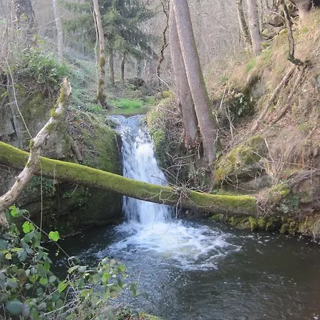 Kemping La Roulotte Des Bords De L'ance *